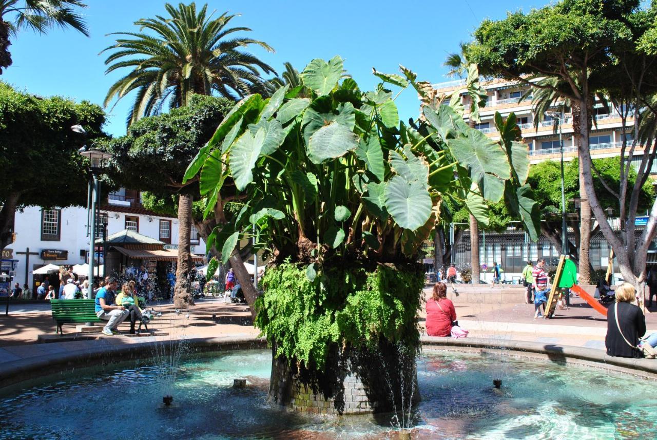 Durazno Tropical Apartment Puerto De La Cruz 외부 사진